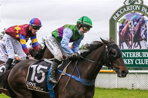 new zealand trotting fields.